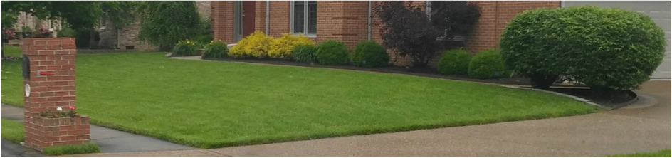 Commercial lawn mowing service Evansville